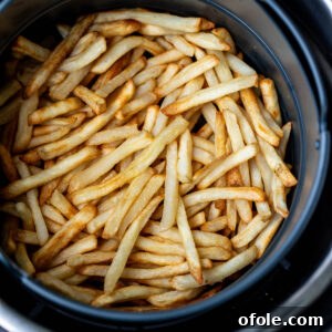Air fried fries in round air fryer basket, perfectly golden and crispy.