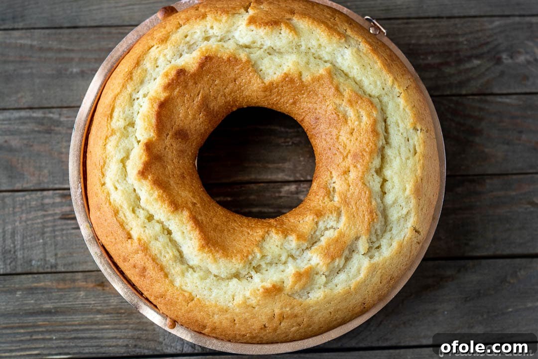 Freshly baked yogurt cake cooling in its baking pan, showing its perfect golden crust.