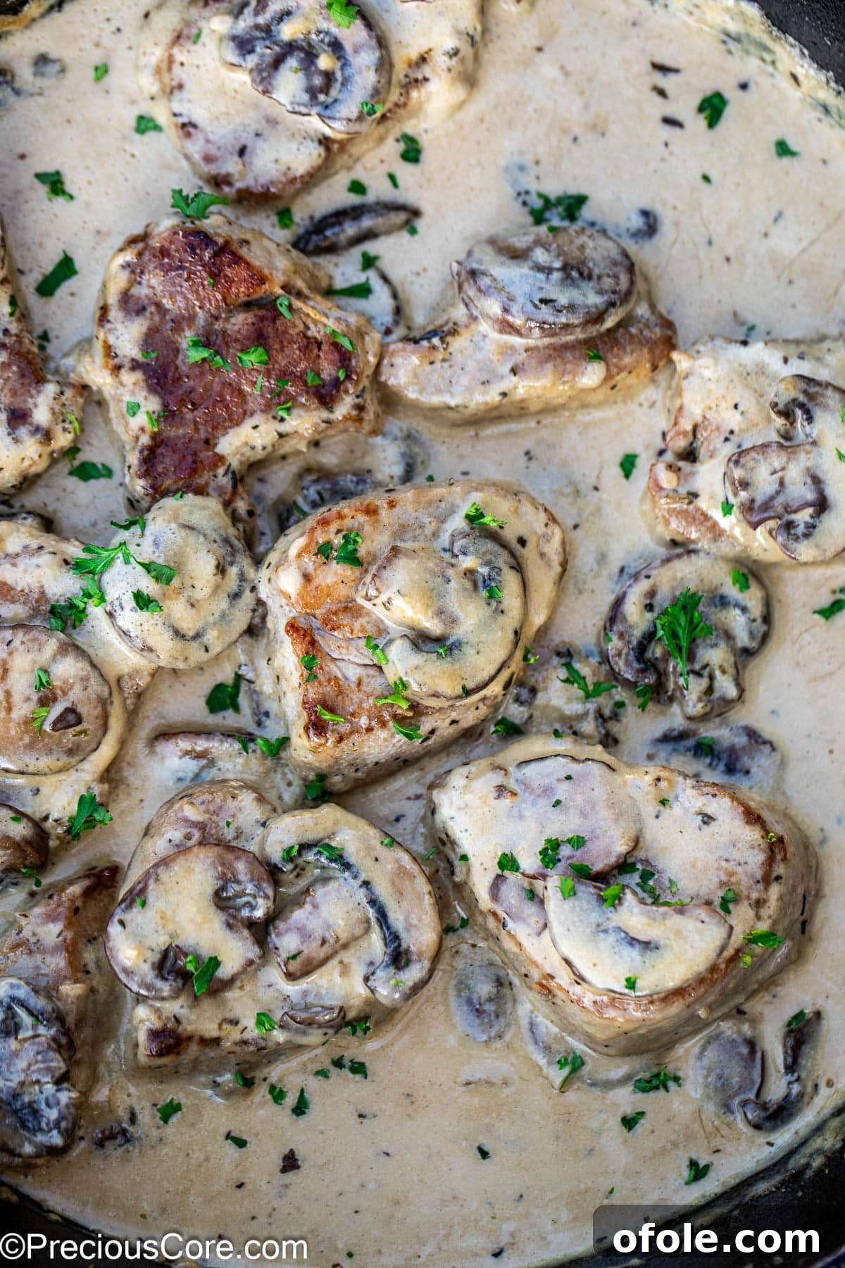 Pan-Seared Pork Tenderloin with Velvety Mushroom Sauce 2 Cooked pork tenderloin in a creamy sauce with mushrooms.
