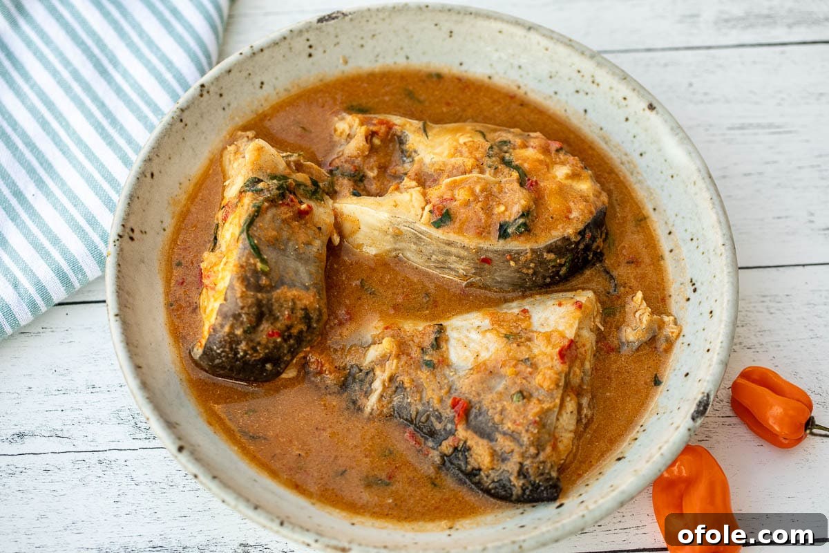Zesty Catfish Pepperpot 6 Landscape photo of Nigerian pepper soup.