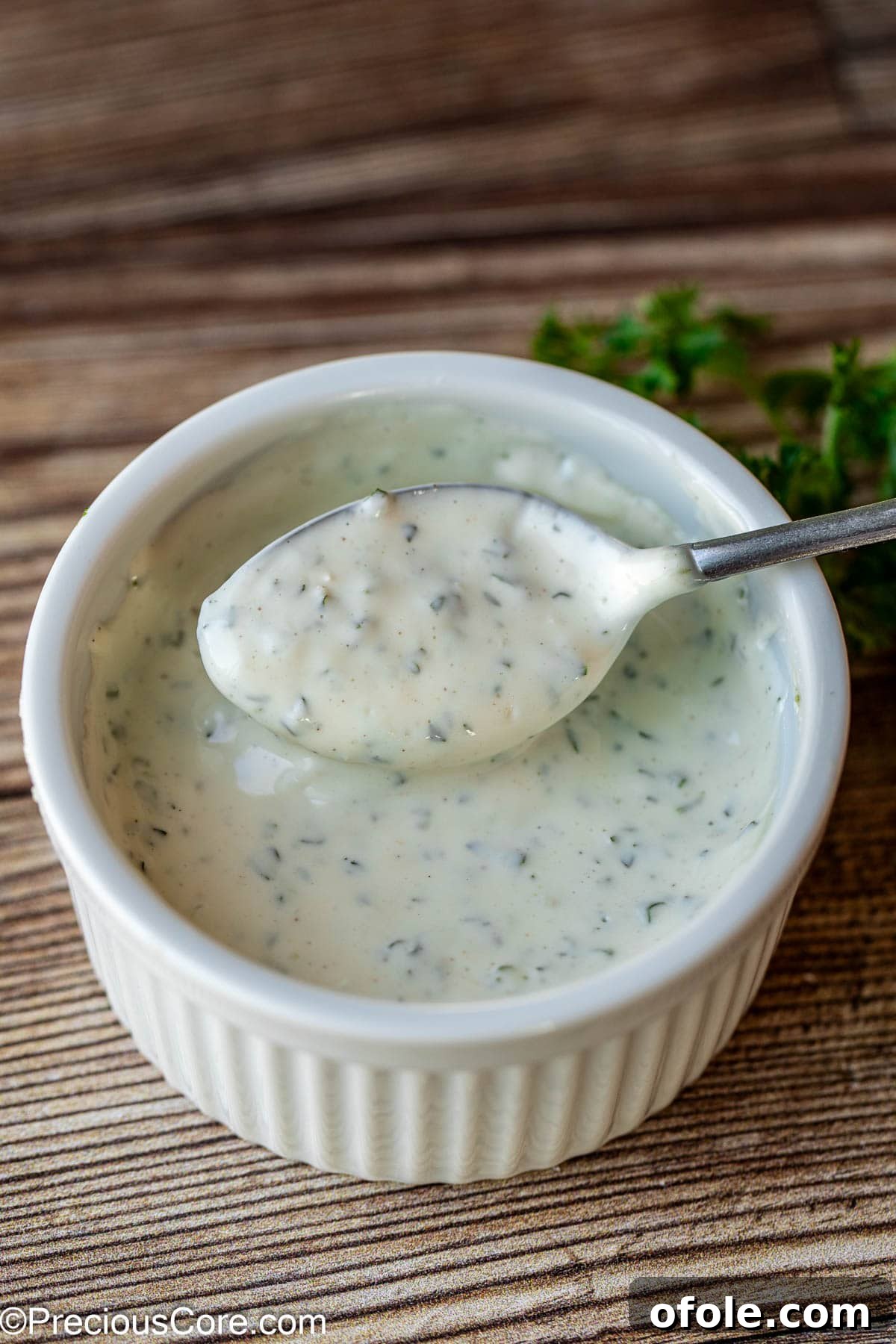 Authentic Shawarma Sauce 2 Ramekin with fresh shawarma white sauce, garnished with herbs.