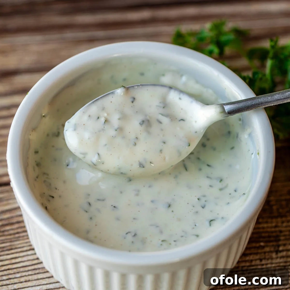 Spoonful of creamy shawarma sauce.