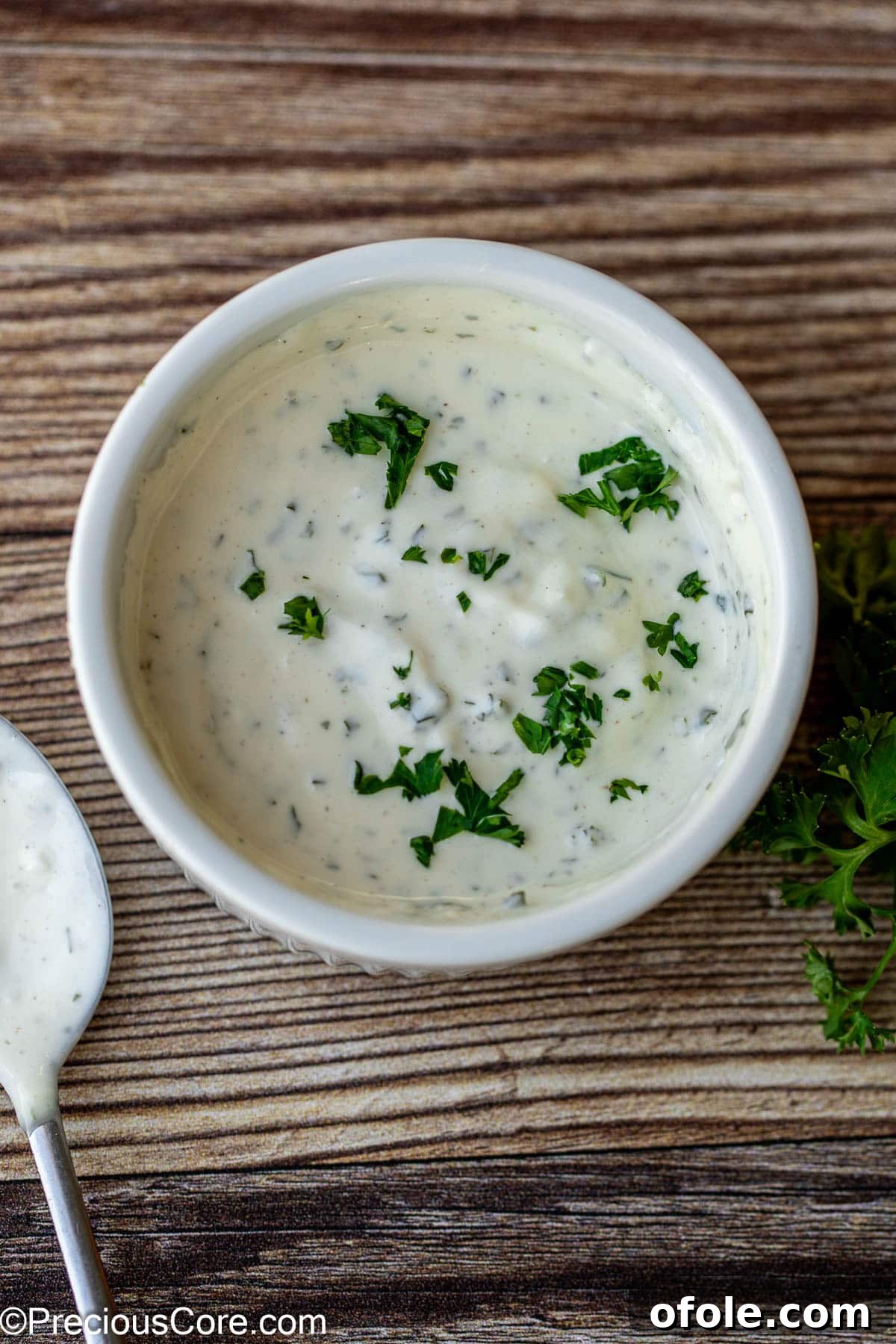 Authentic Shawarma Sauce 4 Bowl of shawarma white garlic sauce, garnished with fresh parsley.