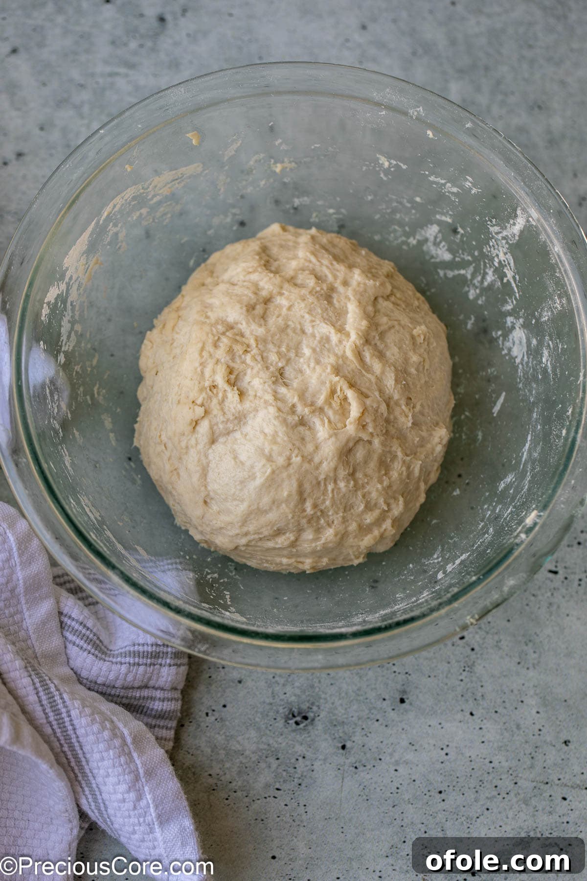 Shawarma Flatbread Delights 6 Smooth, soft flatbread dough resting in a bowl, lightly oiled and covered for the first proofing.