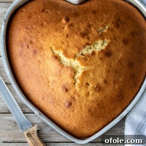 A perfectly baked plain cake with a knife ready for serving.