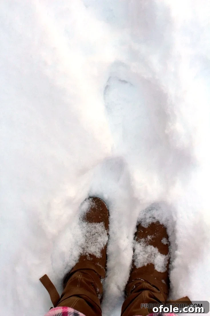 walking-snow