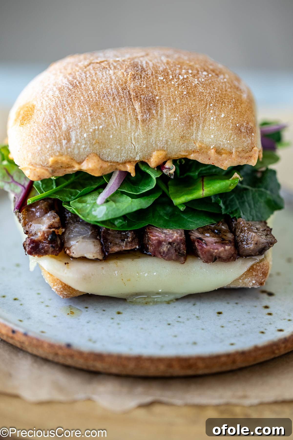Elevated Ribeye Steak Sandwich 2 Ribeye Steak Sandwich with greens and onions.