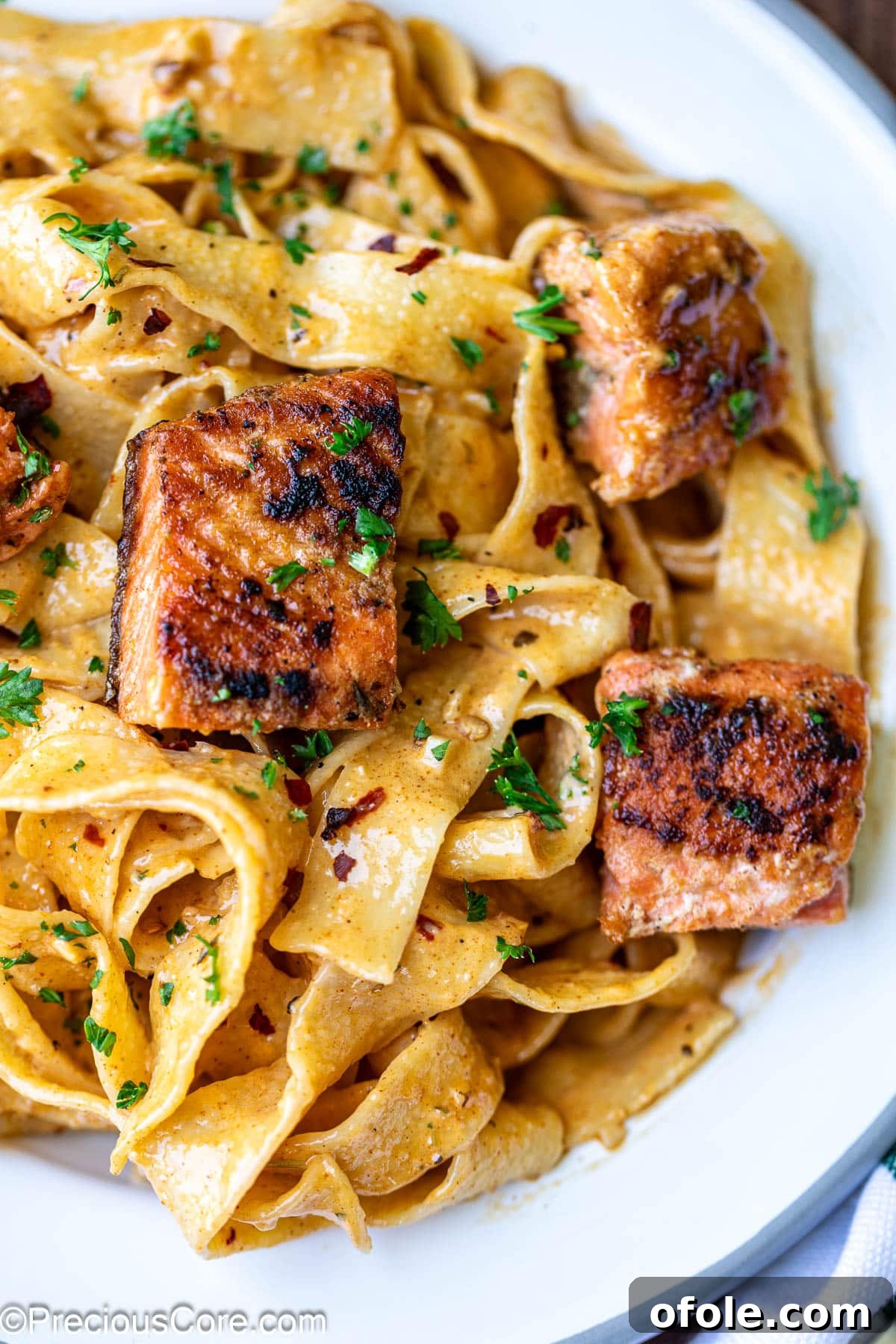 Spicy Cajun Salmon Pasta 3 Cajun Pasta with Salmon garnished with fresh parsley.