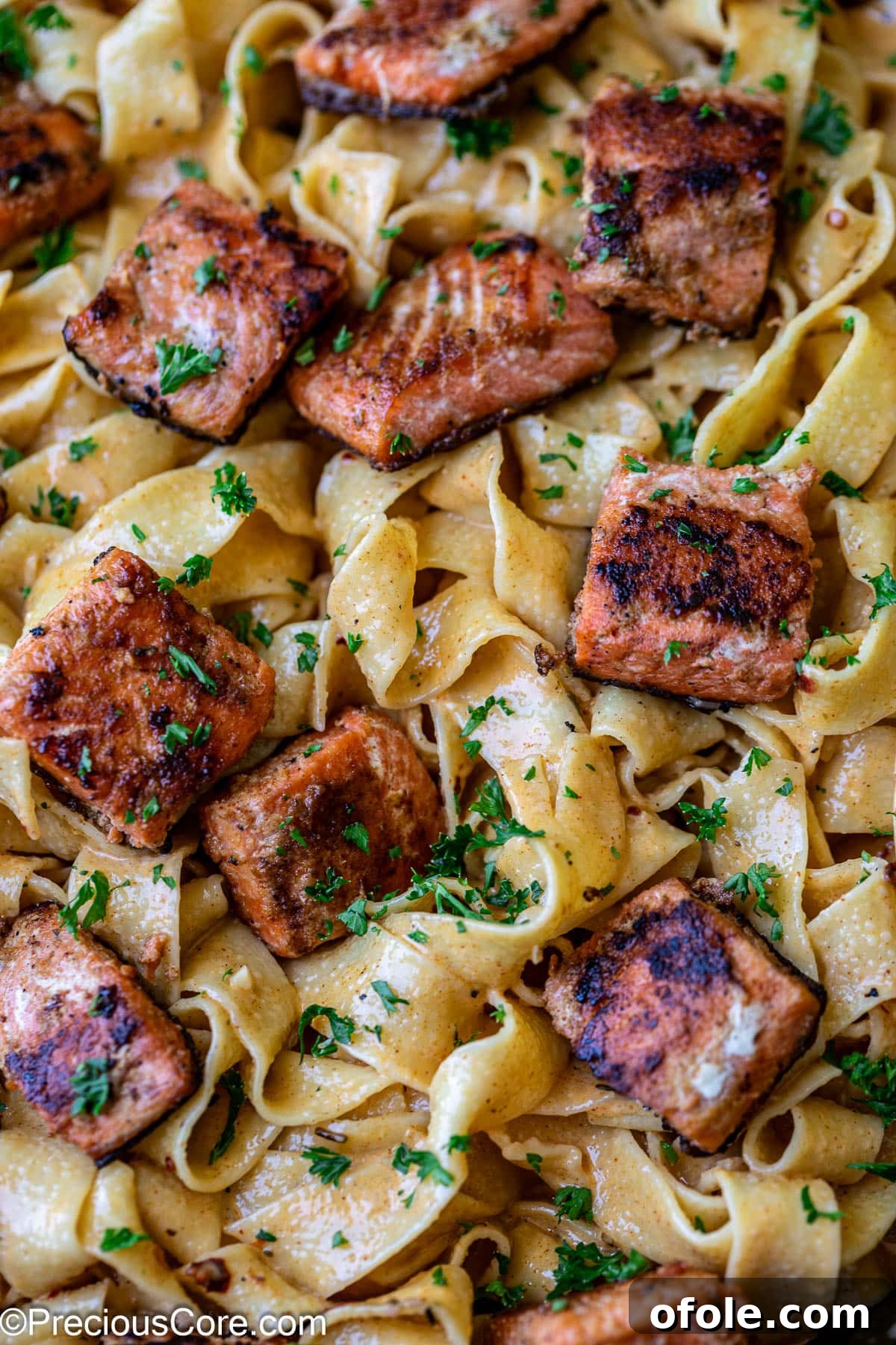 Spicy Cajun Salmon Pasta 5 Cajun pasta with creamy sauce and salmon pieces, ready to be served.