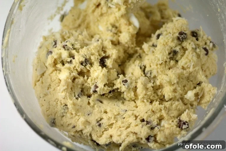 Tropical Coconut Chocolate Chip Cookies 4 Coconut chocolate chip cookie dough.