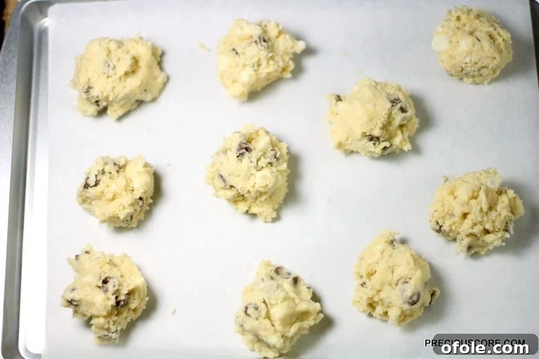 Tropical Coconut Chocolate Chip Cookies 5 Mounds of coconut chocolate chip cookie dough.