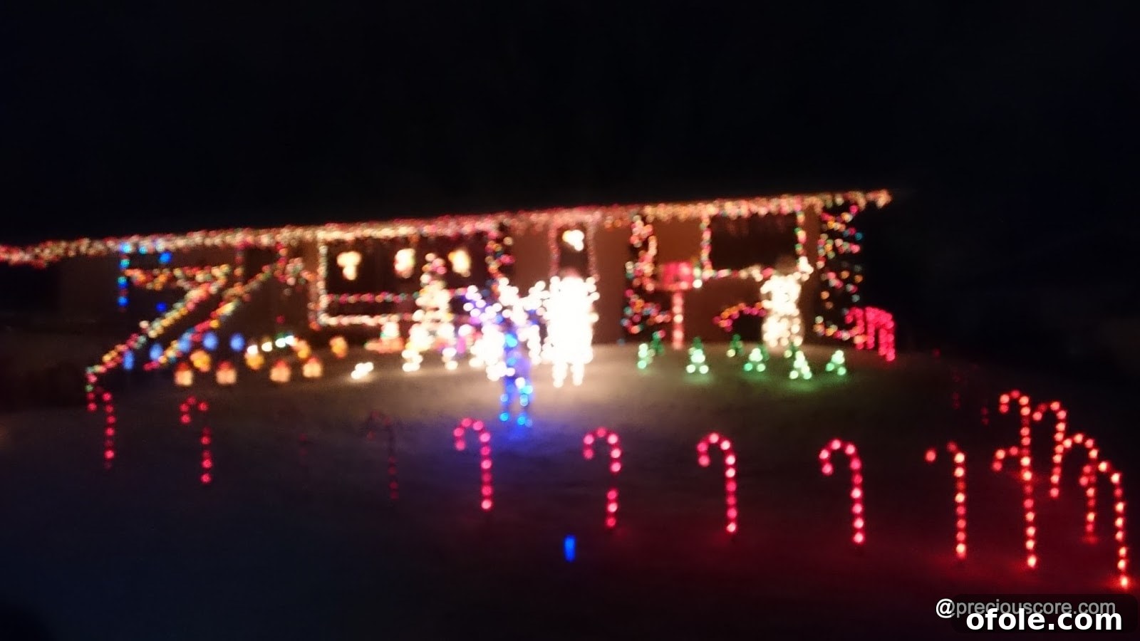 Beautifully lit Christmas tree and outdoor decorations