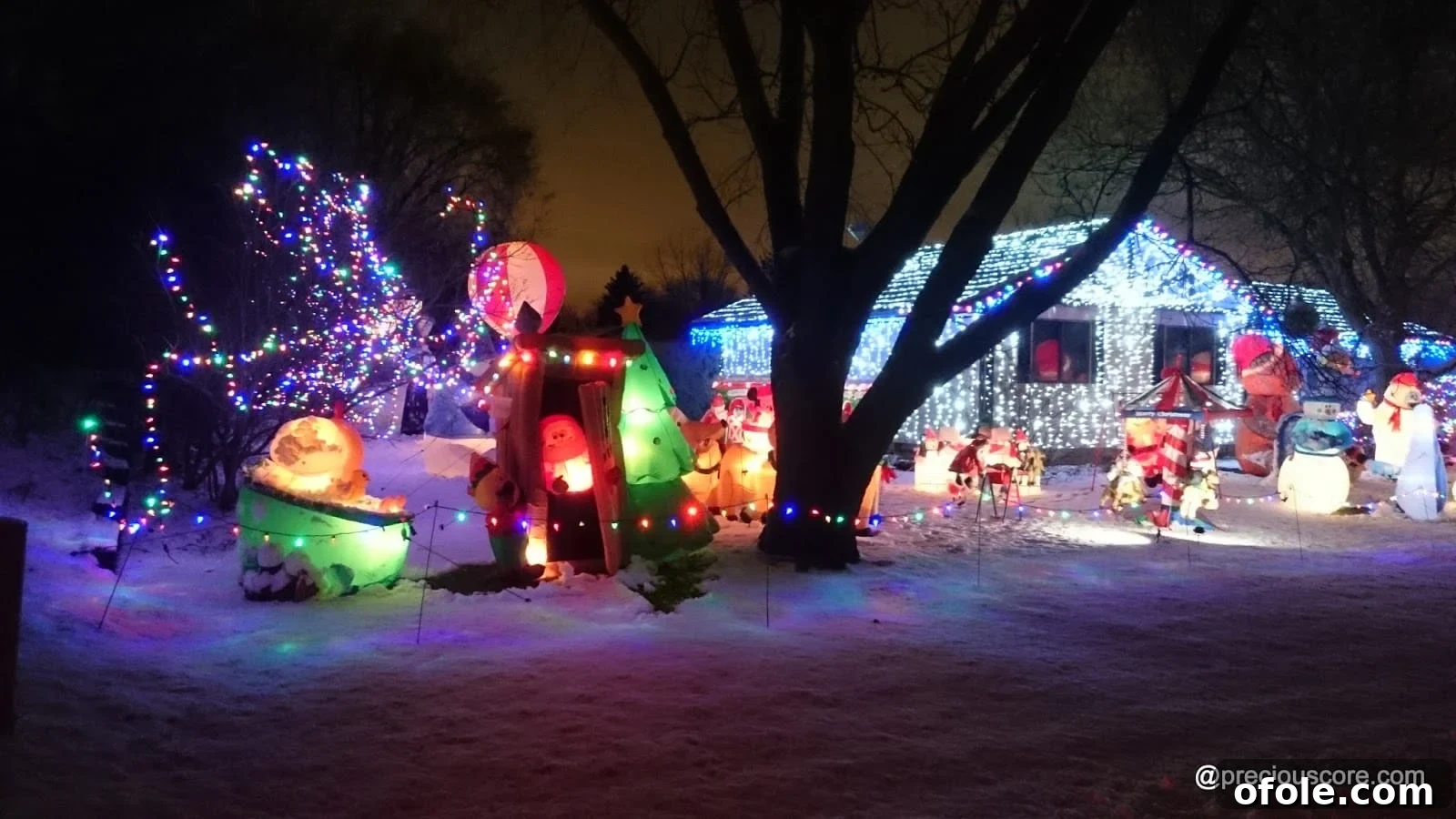 Vibrant holiday lights illuminating a winter evening scene