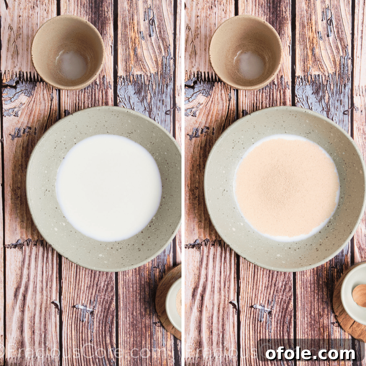 Proofing yeast in warm milk for challah rolls, showing a foamy surface.
