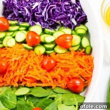 Spinach Red Cabbage Salad with Honey Lemon Dressing