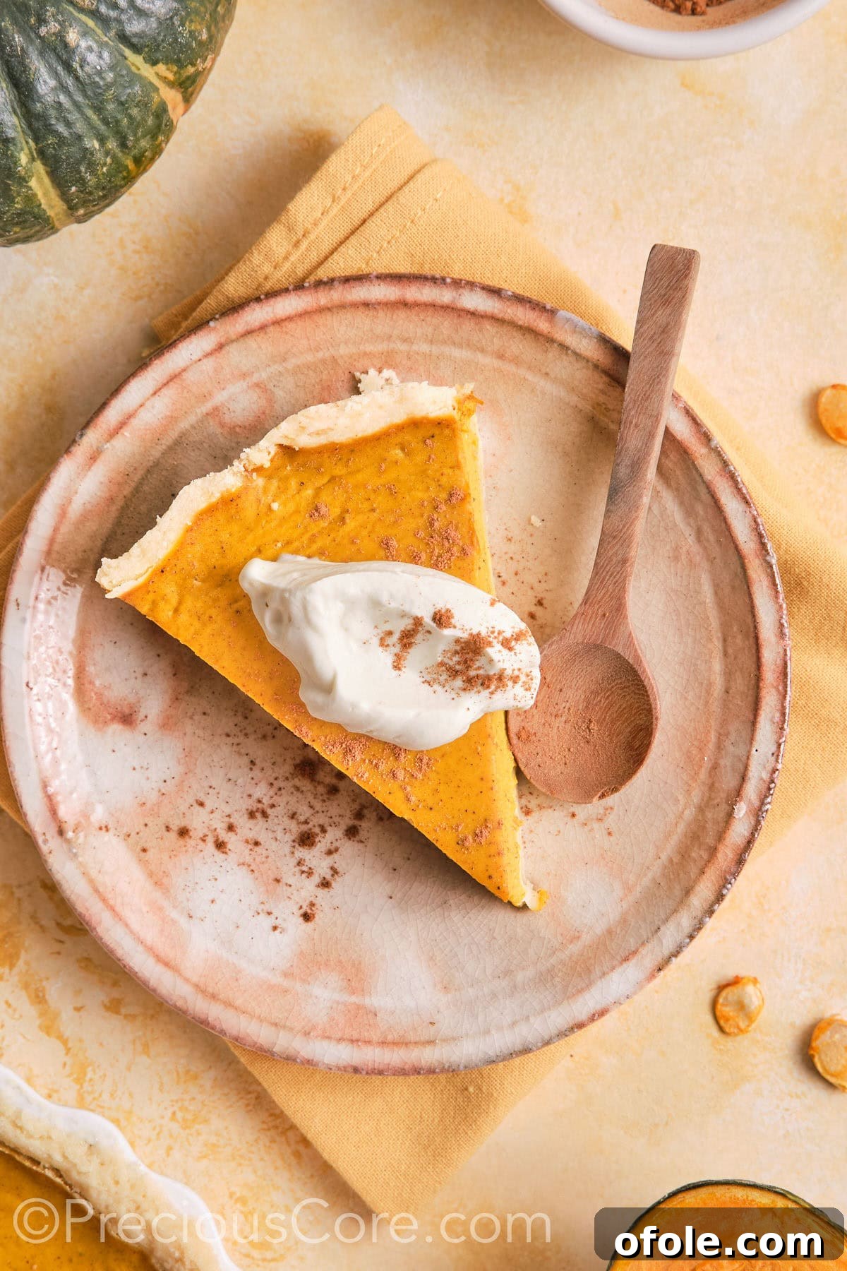 Creamy Pumpkin Pie Without Evaporated Milk 2 A slice of creamy pumpkin pie topped with whipped cream and a sprinkle of cinnamon, resting on a white plate.