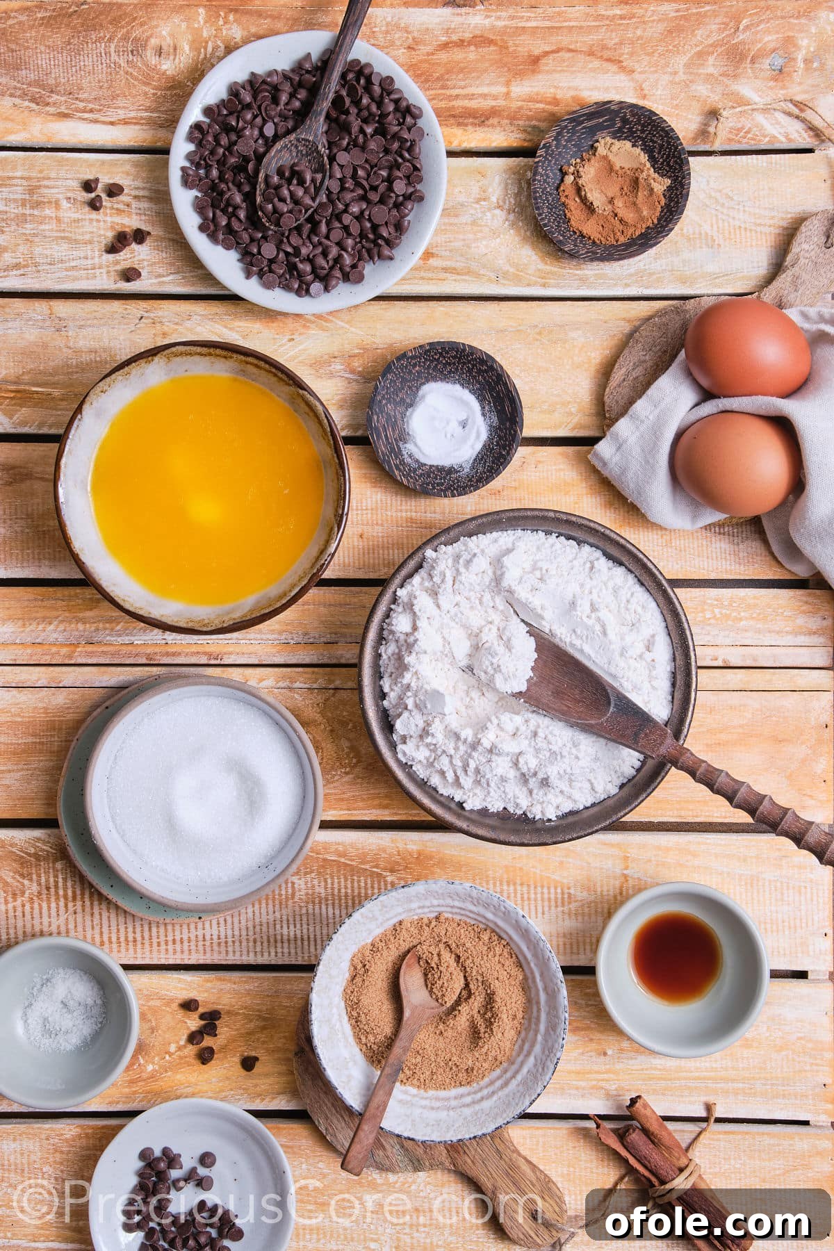 ingredients for the cinnamon chocolate chip cookies. 