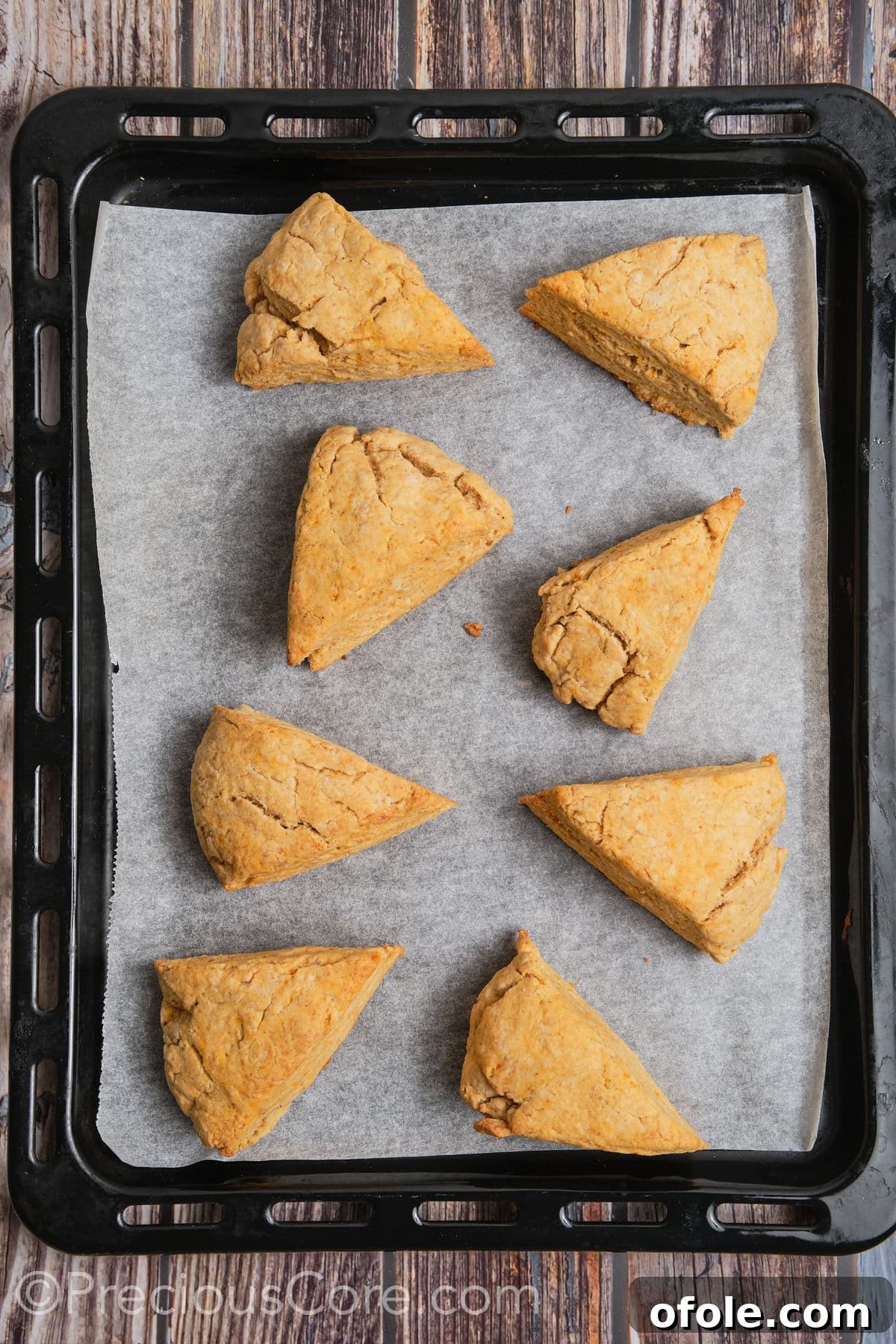 Spiced Sweet Potato Scones 16 Freshly baked sweet potato scones, golden and perfectly risen, cooling on a baking sheet straight from the oven.