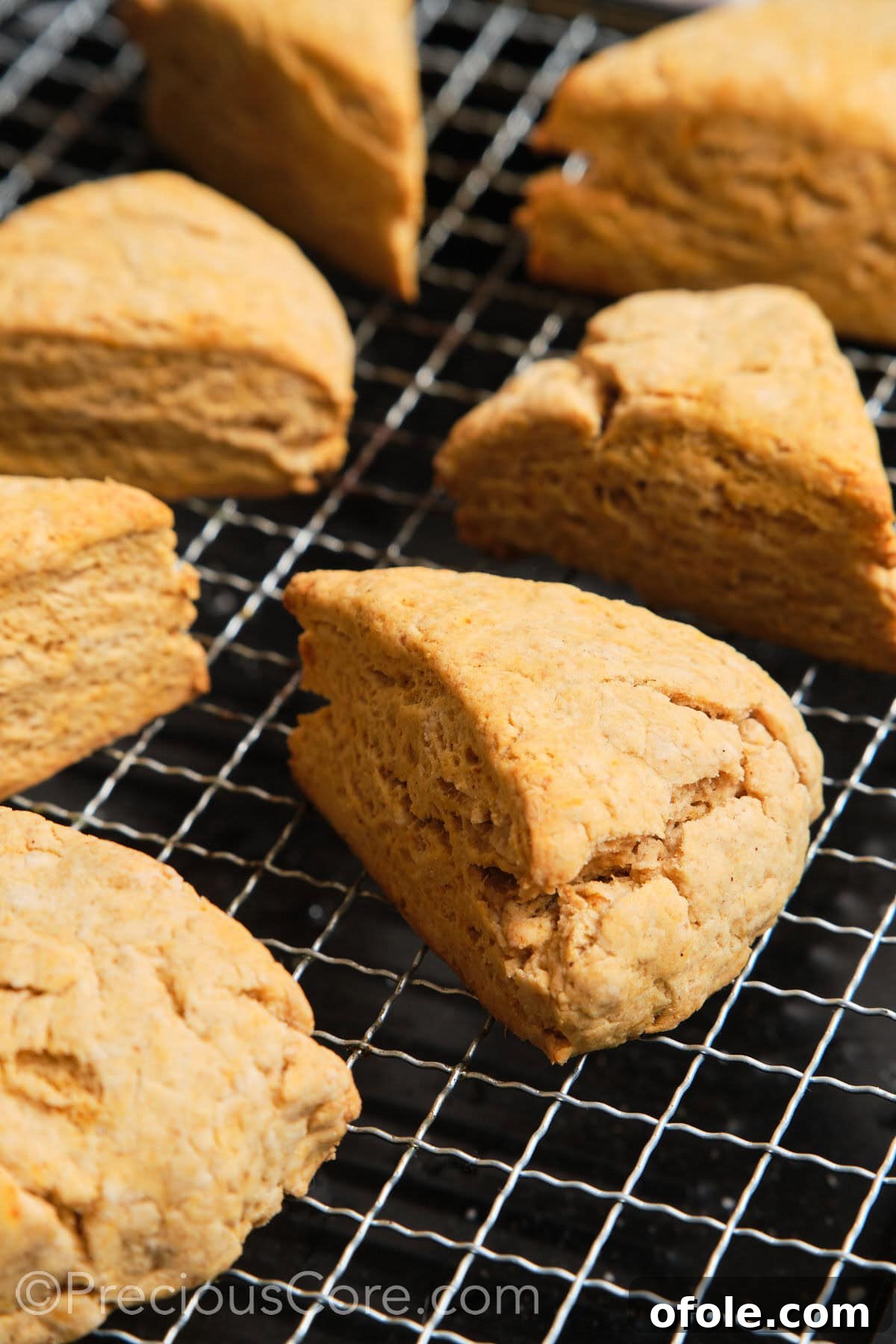 Spiced Sweet Potato Scones 17 Warm, freshly baked scones are carefully placed on a wire rack, allowing them to cool down before glazing.