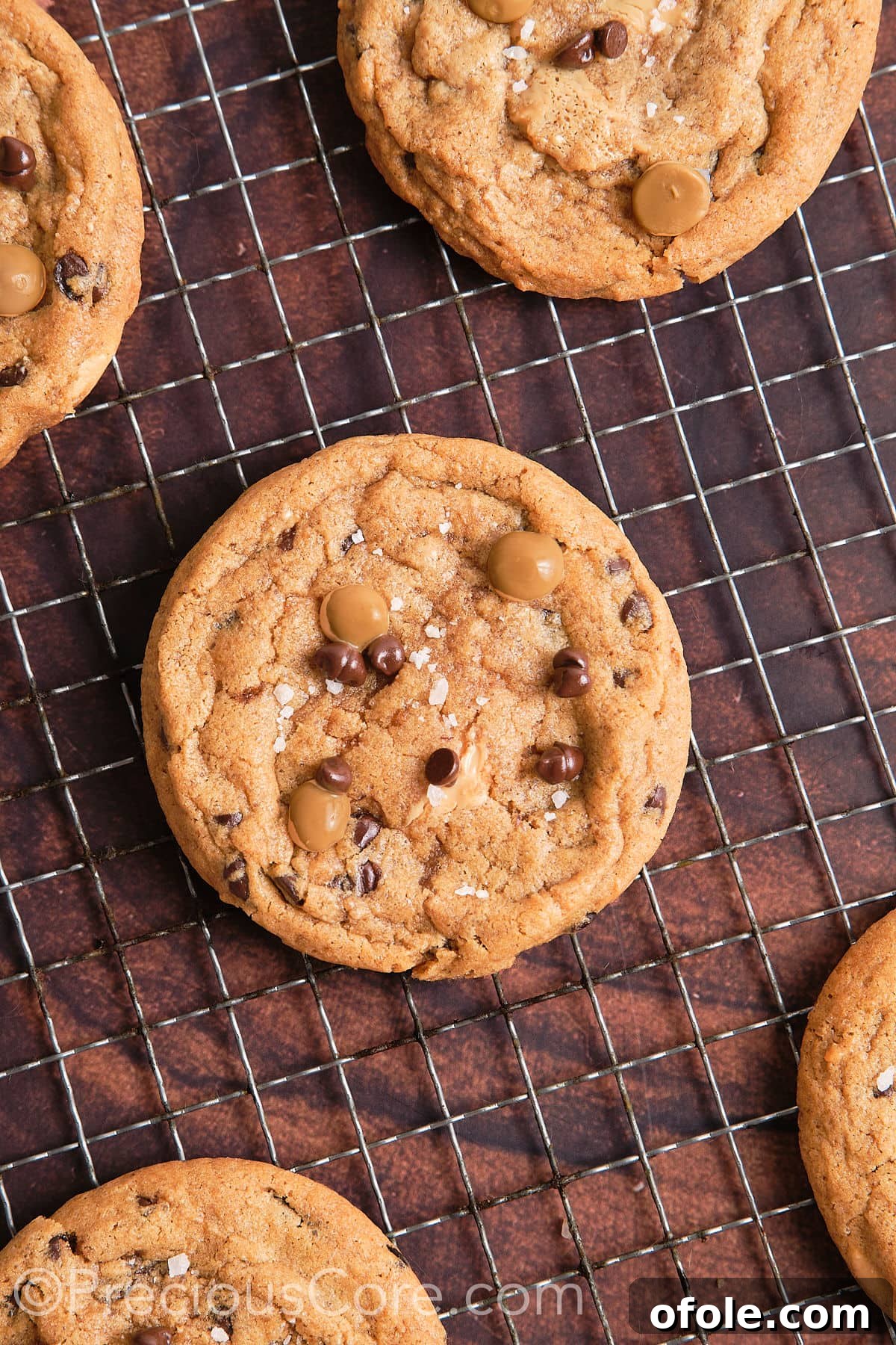Chocolate Chip Butterscotch Chip Cookies on a resting tray