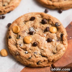 Yummy Chocolate Chip Butterscotch Chip Cookies.