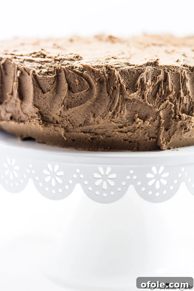Pure Chocolate Decadence 2 Classic Chocolate Cake - Precious Core