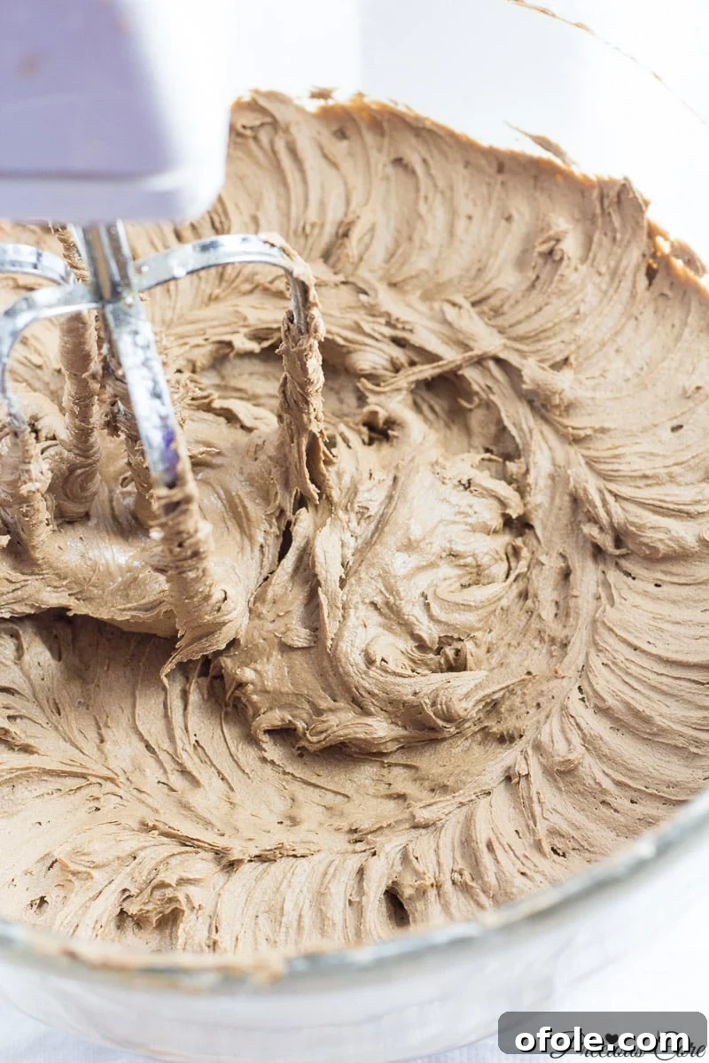 Timeless Chocolate Delight 12 Smooth and Perfect Chocolate Buttercream Frosting in a Stand Mixer
