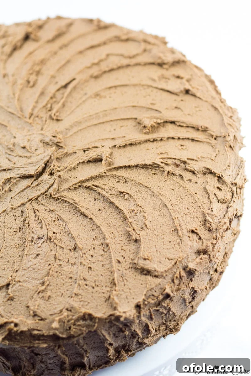 Timeless Chocolate Delight 14 Perfectly Frosted Two-Layer Classic Chocolate Cake with Buttercream