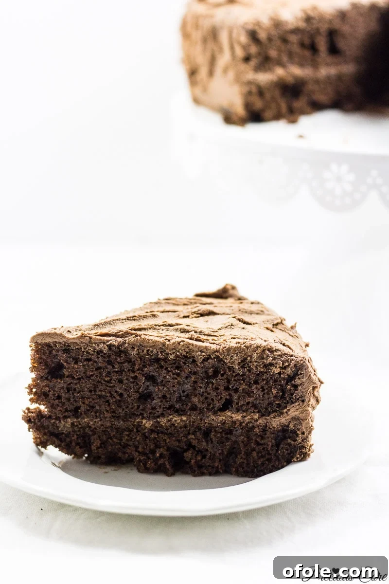 Timeless Chocolate Delight 15 Slice of Perfect Classic Chocolate Cake on a Plate - Precious Core
