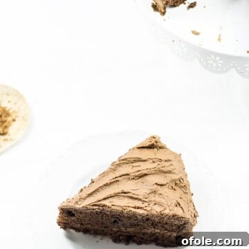 Pure Chocolate Decadence 16 Slice of chocolate cake on a white background.