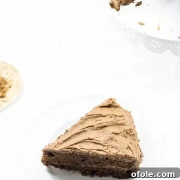 Timeless Chocolate Delight 16 Slice of chocolate cake on a white background.