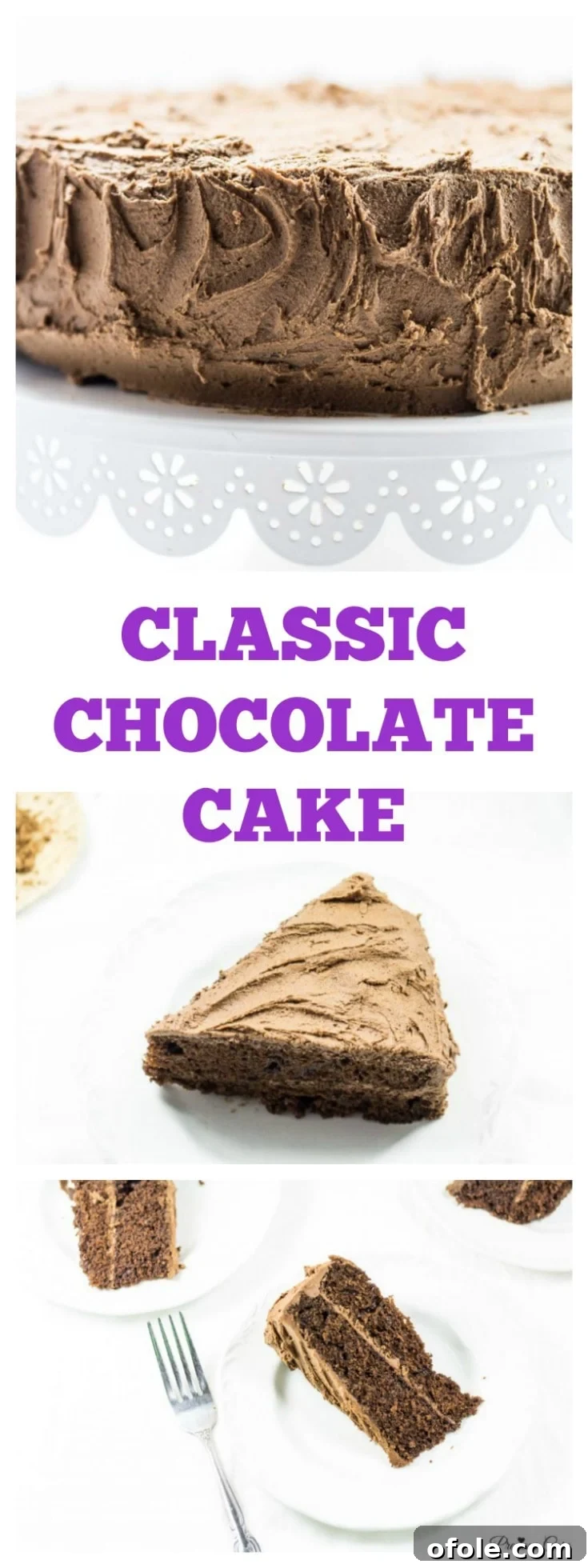 Timeless Chocolate Delight 17 Classic Chocolate Cake on a white platter, ready to serve - Precious Core