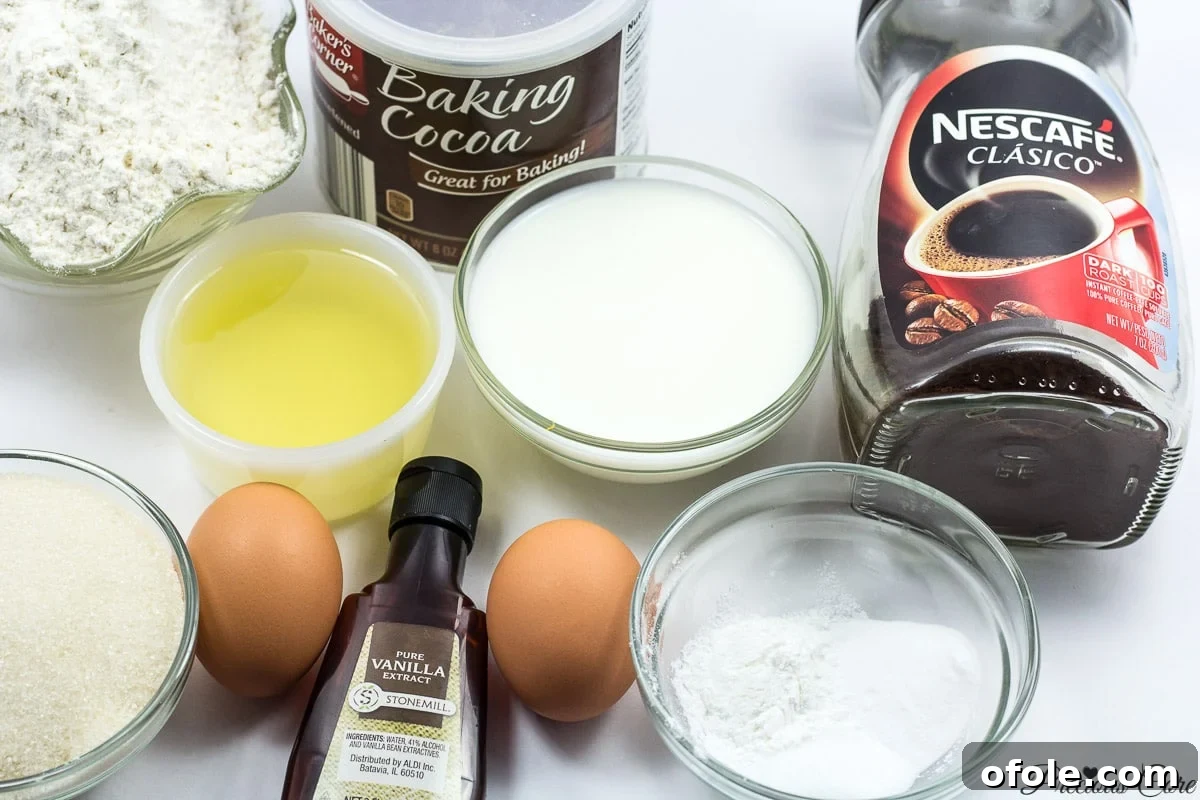 Timeless Chocolate Delight 3 Ingredients for a Classic Chocolate Cake - Flour, Sugar, Cocoa, Vanilla, Eggs, Milk, Baking Powder, Baking Soda, Salt, Oil, Coffee