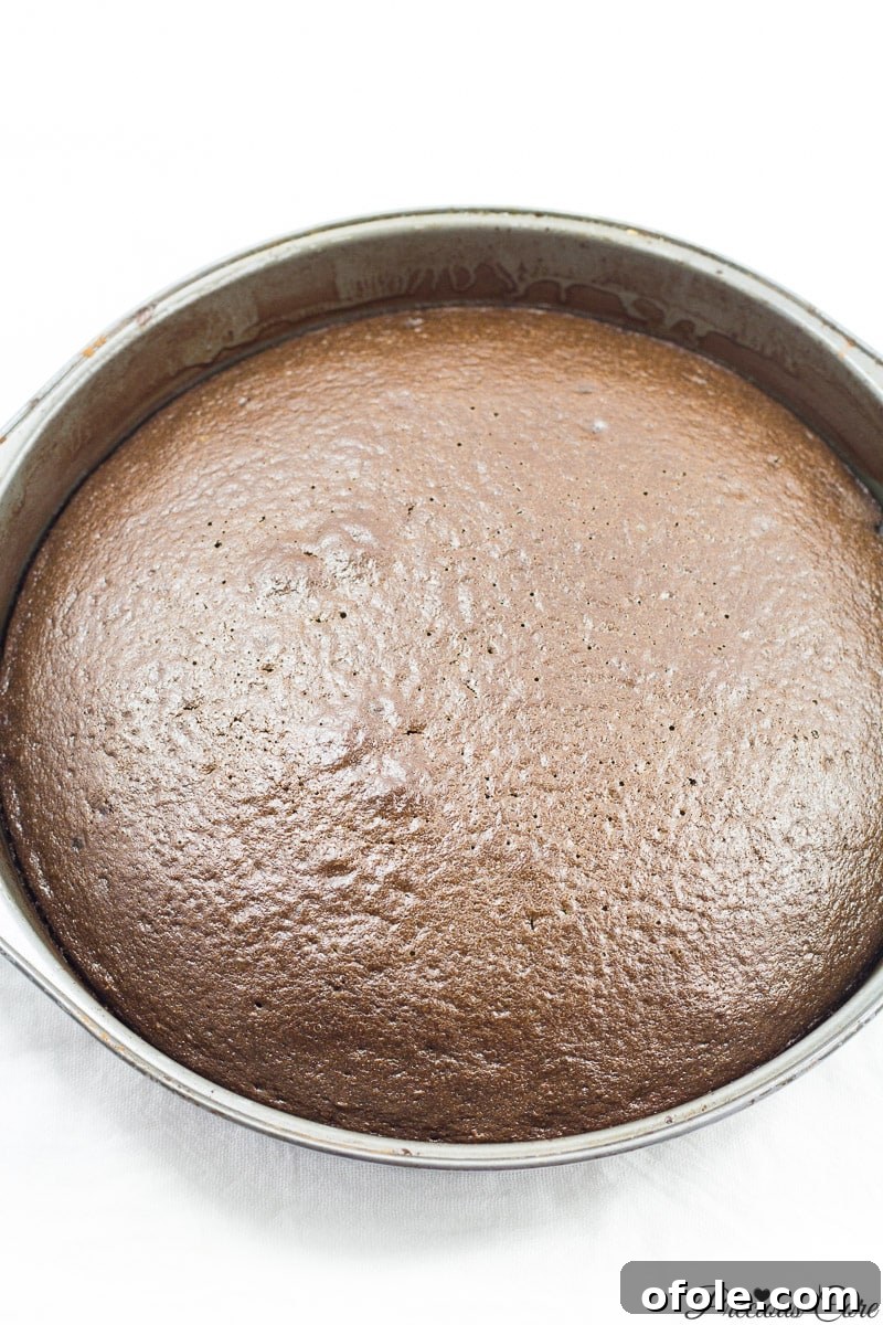 Pure Chocolate Decadence 10 classic chocolate cake just baked