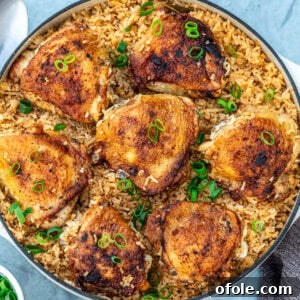 One pot chicken thighs and rice topped with chopped green onions.