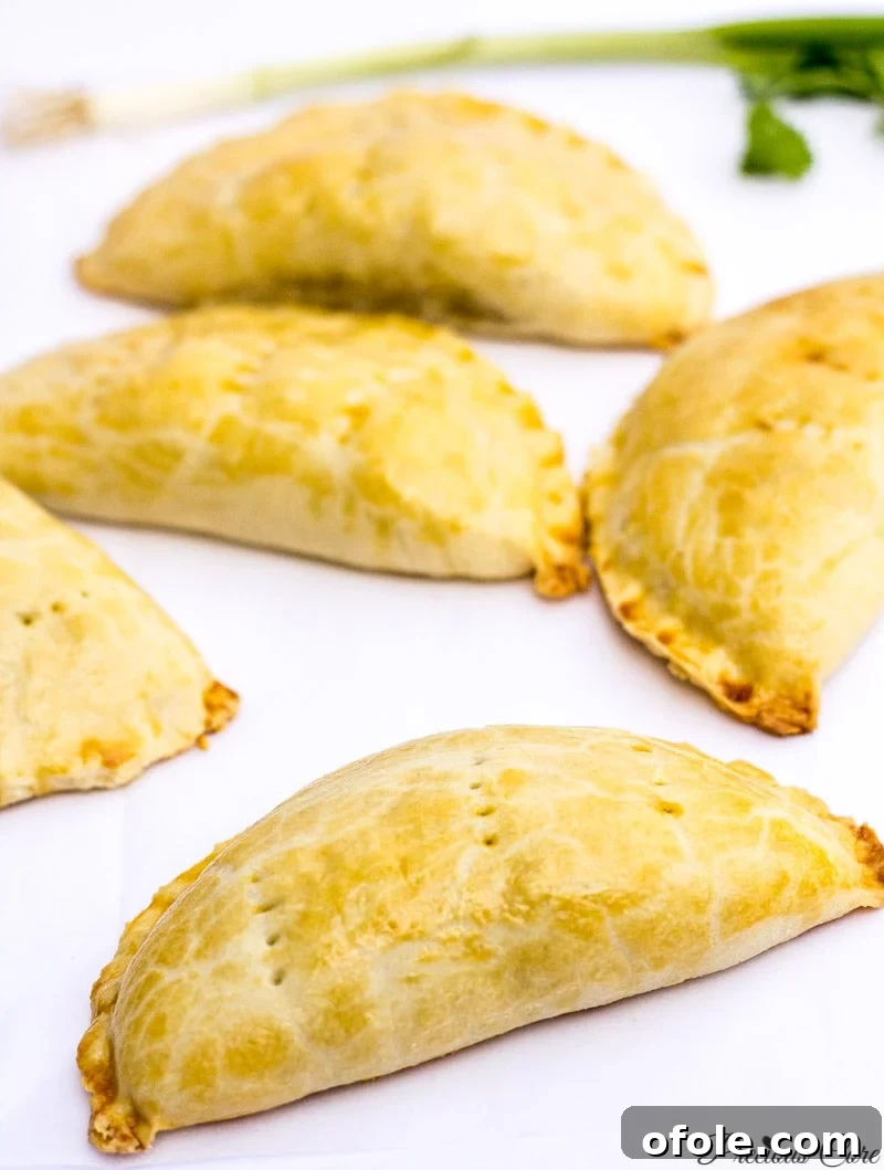 Cameroonian Fish Pie Video Tutorial 2 Delicious Cameroonian fish pies with a golden-brown, flaky crust.