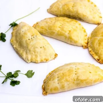 Cameroonian Fish Pie Video Tutorial 5 Cameroonian fish pies - Precious Core
