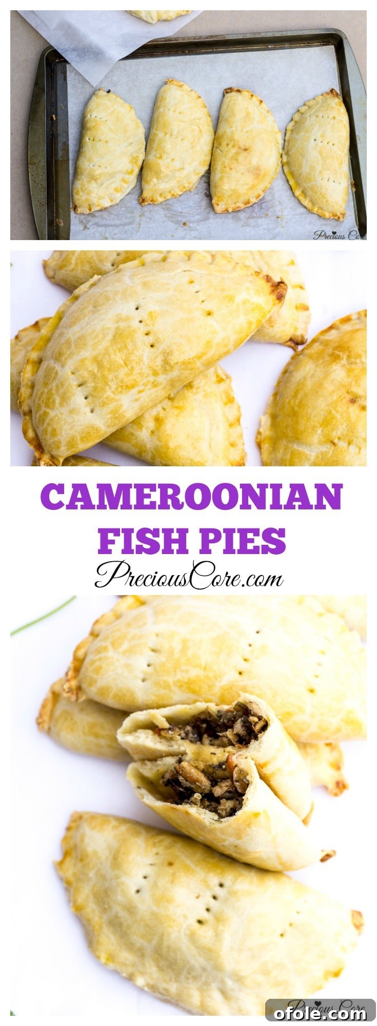Cameroonian Fish Pie Video Tutorial 6 Finished Cameroonian fish pie from Precious Core, ready to be served.