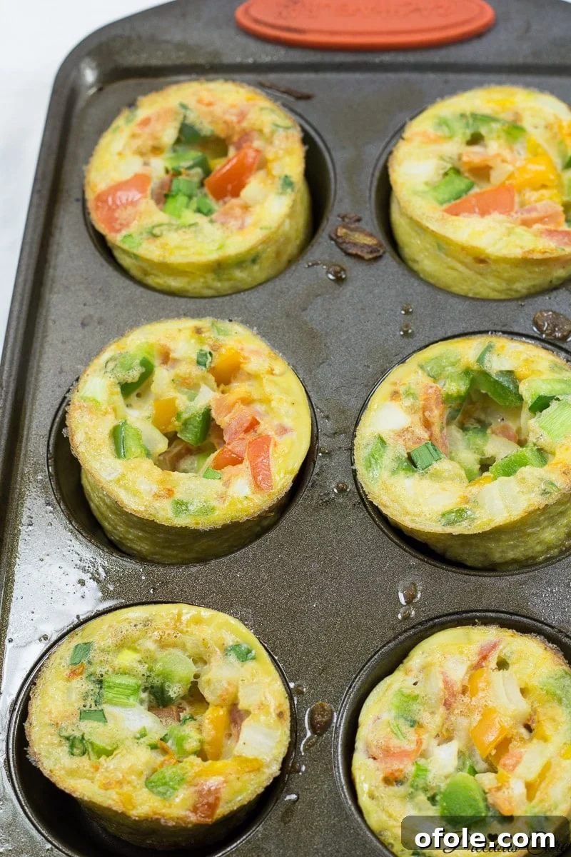 Savory Morning Bites 3 Freshly baked breakfast egg muffins in a muffin tin, garnished with fresh herbs, ready to be served.