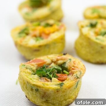Breakfast Egg Muffins