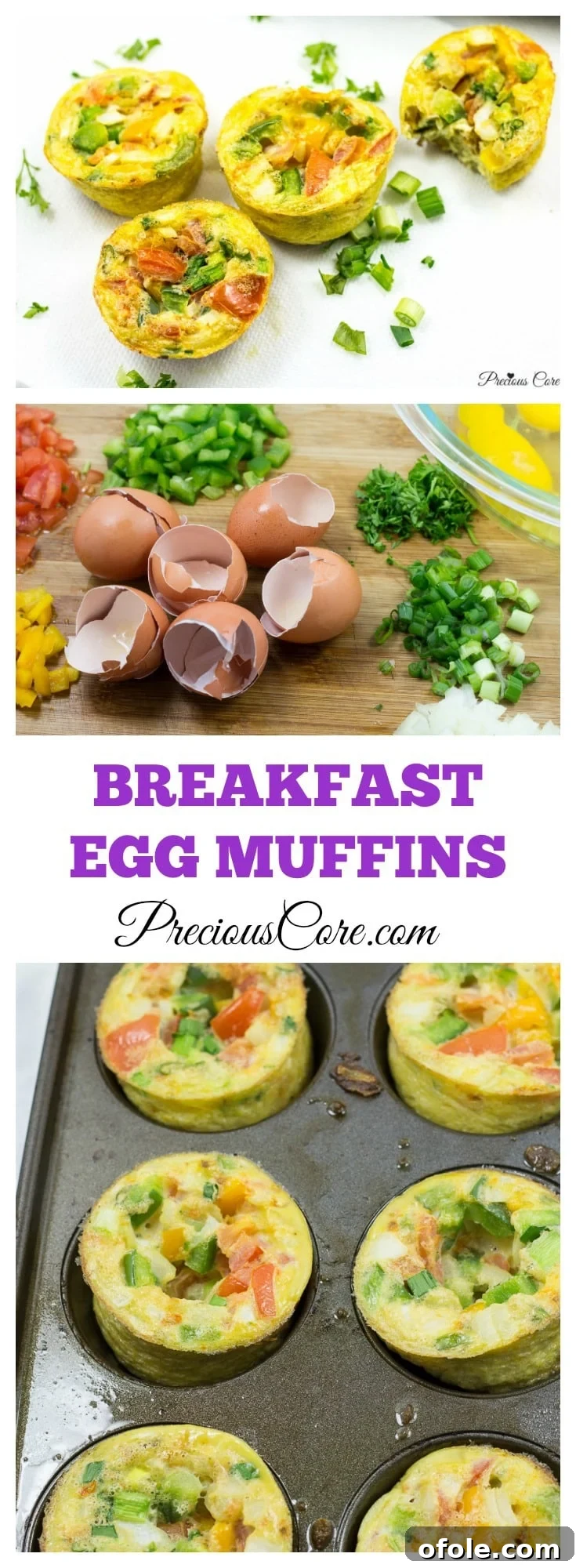 Savory Morning Bites 6 Infographic style image showing 'How to make breakfast egg muffins' with step-by-step visuals.