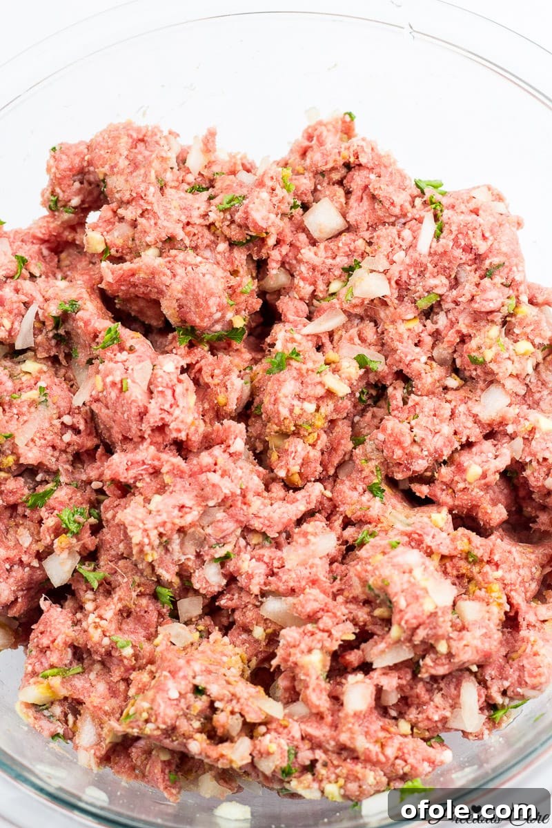 west african meatballs mixture