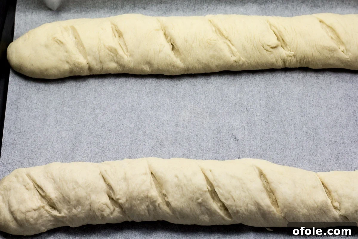 Effortless Crusty French Loaves 11 Long French bread loaves placed on a baking sheet, ready for the oven