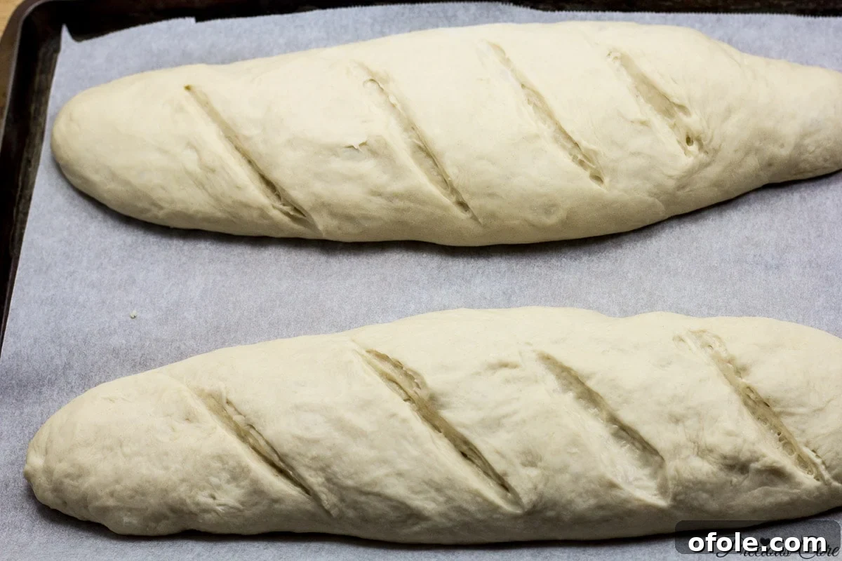 Effortless Crusty French Loaves 12 Shorter French bread loaves arranged on a baking sheet