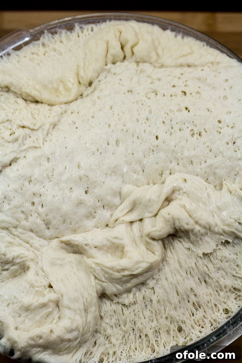 Effortless Crusty French Loaves 5 Puffed-up French bread dough after its first rise, ready for shaping