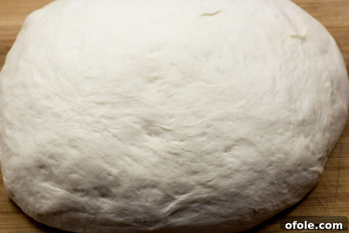 Effortless Crusty French Loaves 6 French bread dough shaped into a smooth ball on a floured surface