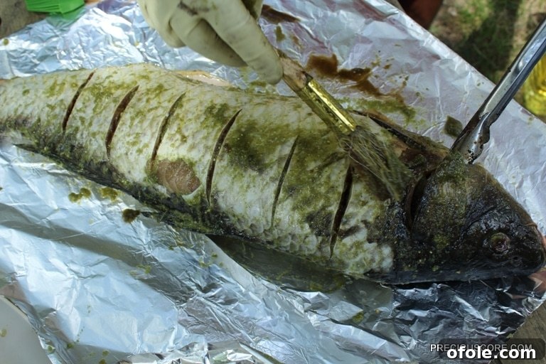 Applying marinade to fish