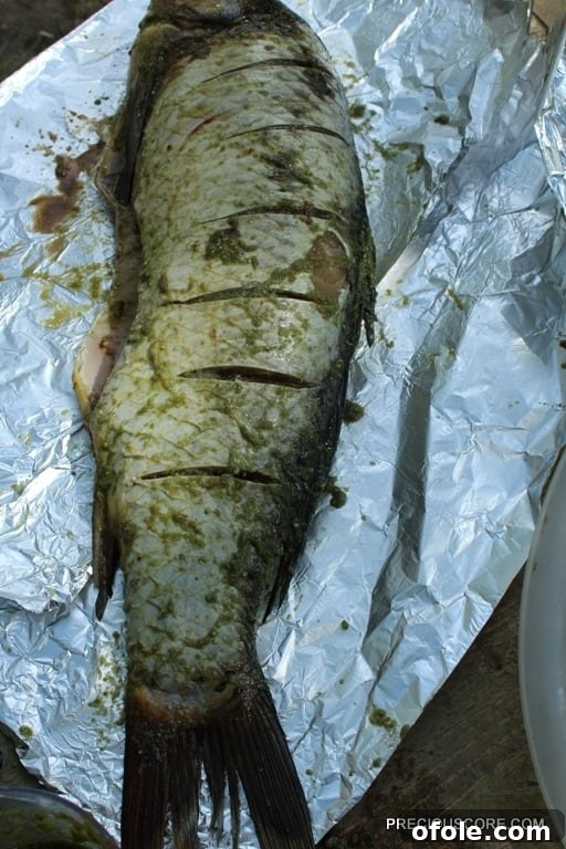 Fish on foil