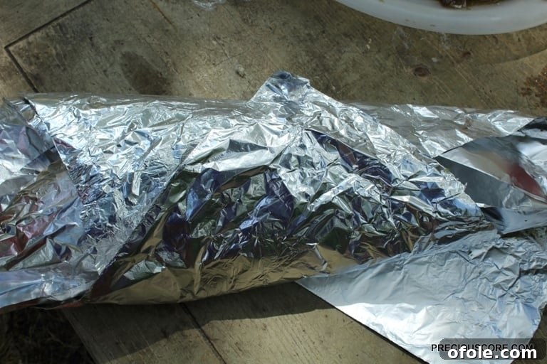 Wrapped fish in foil