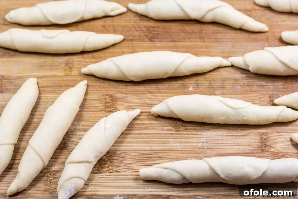 Cameroonian fish rolls neatly prepared for frying